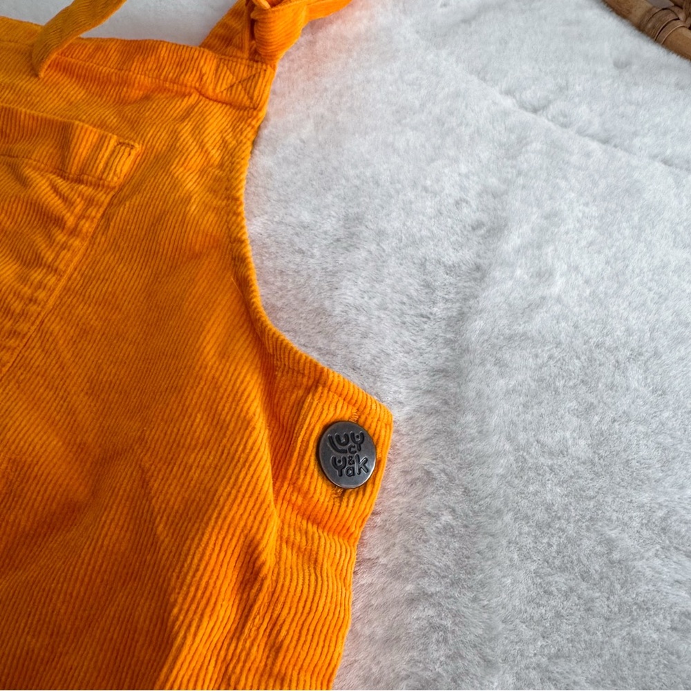 Lucy & Yak Mini Pini Corduroy Overall Dress Orange - Picture 8 of 13